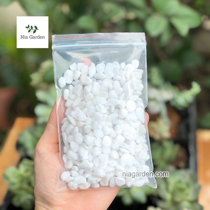 Sỏi trắng size 0,8-1cm trang trí chậu cây cảnh, terrarium, hồ cá, xương rồng