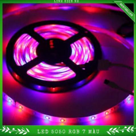 Dây led 5050 24VDC 5m/cuộn chống nước Loại Tốt