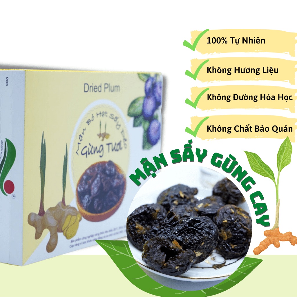 Mận Mộc Châu Sấy Dẻo gừng tươi không hạt (240g) - Đặc Sản Mộc Châu, ăn vặt tiện lợi