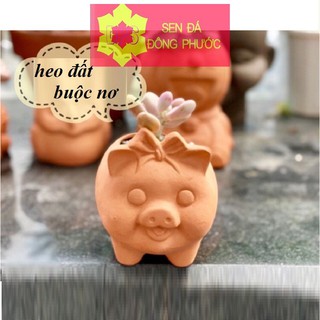 Chậu đất nung hình heo buộc nơ - chậu trồng tiểu cảnh sen đá, xương rồng, cây phong thuỷ văn phòng