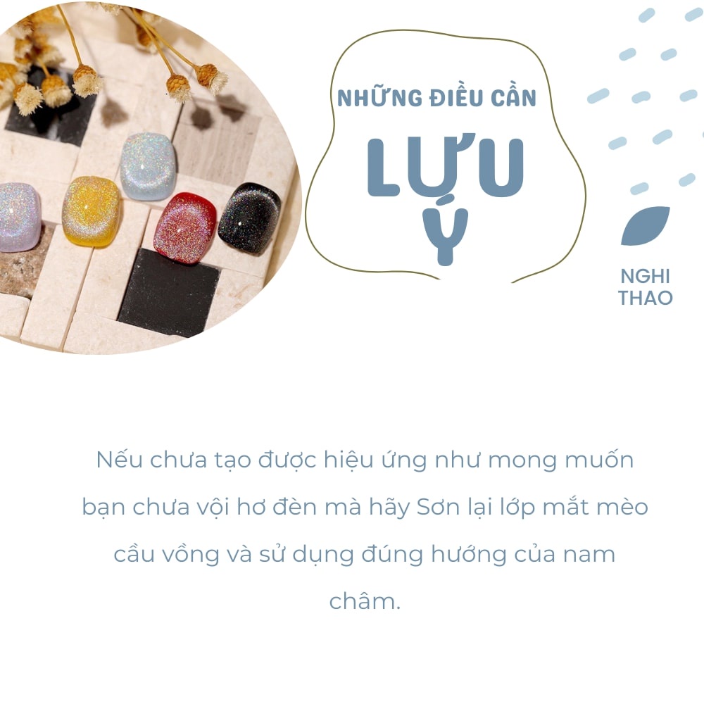 Sơn mắt mèo cầu vồng Jeliva 15ml