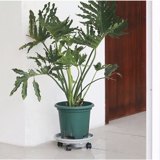 Đế lót chậu có khay hứng nước.