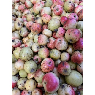 Táo Mèo Tươi 5kg
