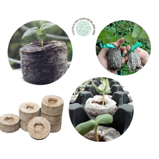 Viên Nén Sơ Dừa Ươm Cây , viên nén cám mụn dừa ươm hạt và cây non