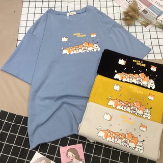 Áo phông tay lỡ corgi unisex cho cả nam và nữ vải cotton đẹp và thoáng mát