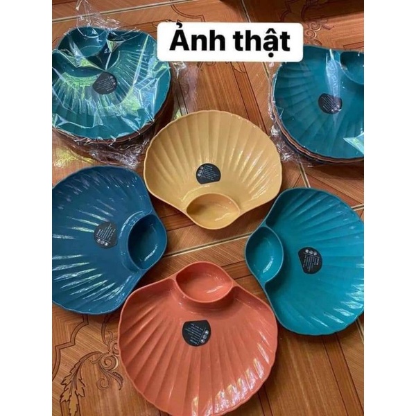 MVP996 Set 4 đĩa vỏ sò xịn xò bốn màu size 19cm x 17cm x 3cm