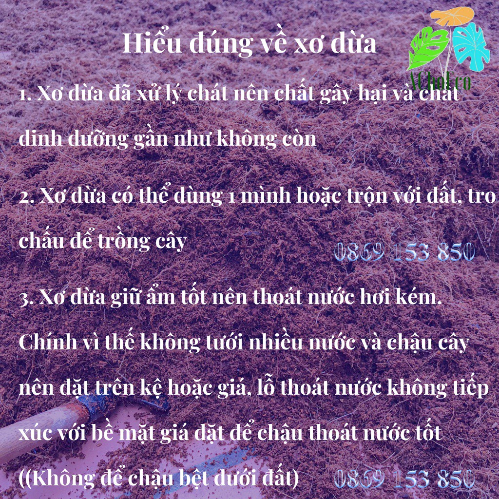 Xơ Dừa Đã Qua Xử Lý - Giá Thể Xơ Dừa Trồng Cây