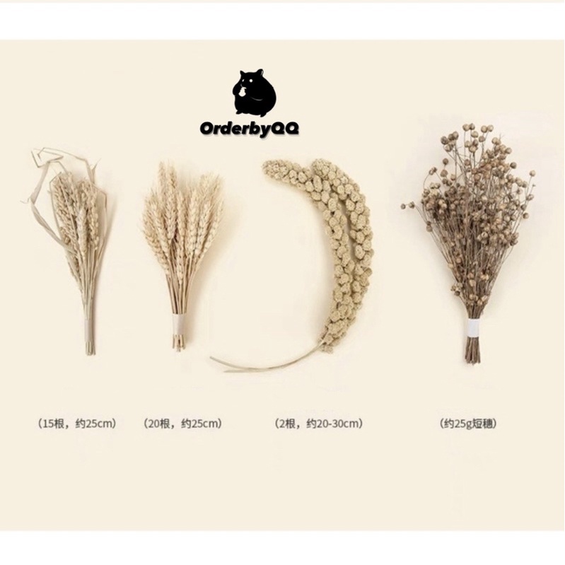 NITEANGEL Cành Cắm Ngũ Cốc Chuồng Hamster