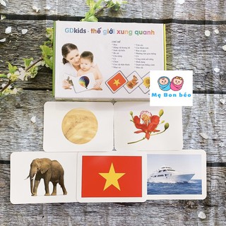 THẺ HỌC CHUYÊN SÂU GDKIDS - THẾ GIỚI XUNG QUANH (300 THẺ, 18 CHỦ ĐỀ) - GLENN DOMAN