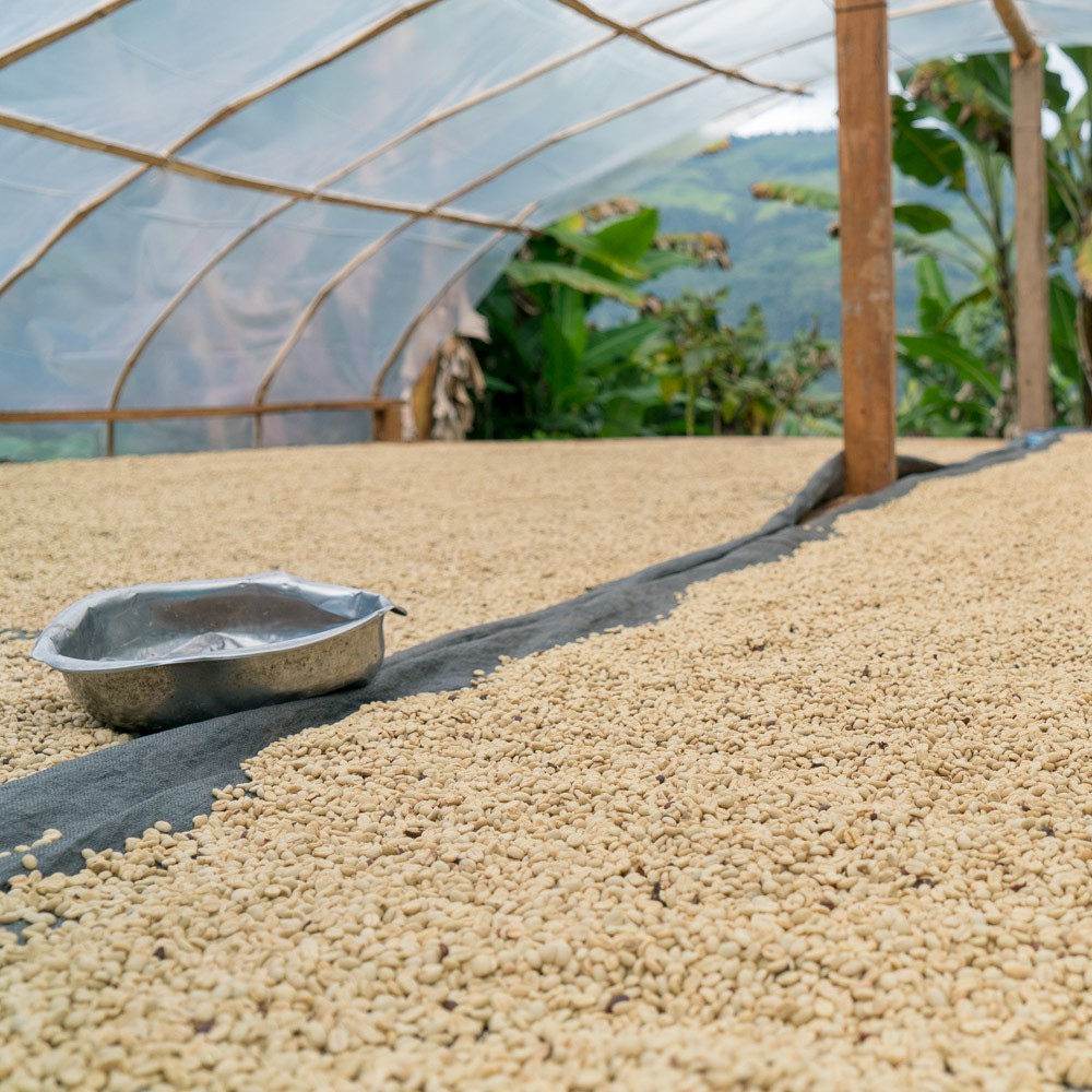 Cà phê Arabica Cầu Đất [500g/ 1 túi] - 100% Cà phê mộc rang xay nguyên chất - TBCAFE | BigBuy360 - bigbuy360.vn