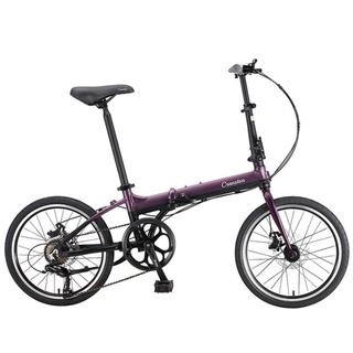 Xe đạp gấp bánh 20 inch Cranston