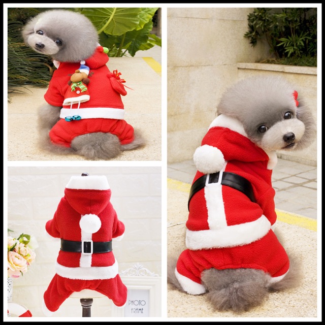 Áo Noel cho chó mèo