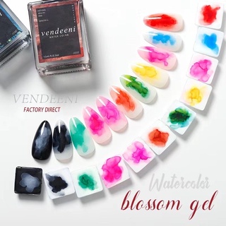 SET CỒN LOANG VENDEENI 12MÀU