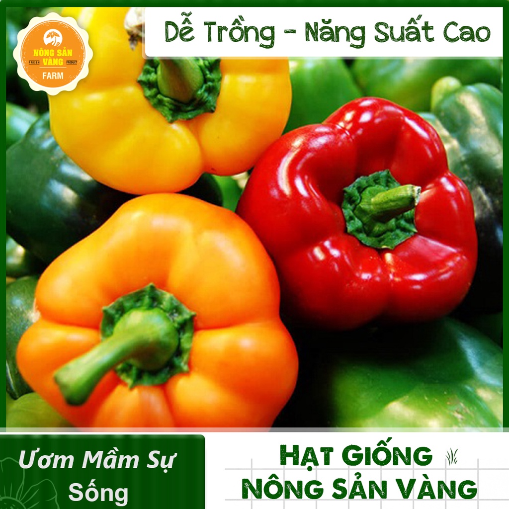 Hạt giống Ớt Chuông Ngọt Nhiều Màu ( Gói 40 hạt ) - Nông Sản Vàng