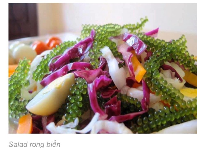 Sỉ Rong nho tách nước Nha Trang Loại 1 khi mua 10 gói 100g | BigBuy360 - bigbuy360.vn