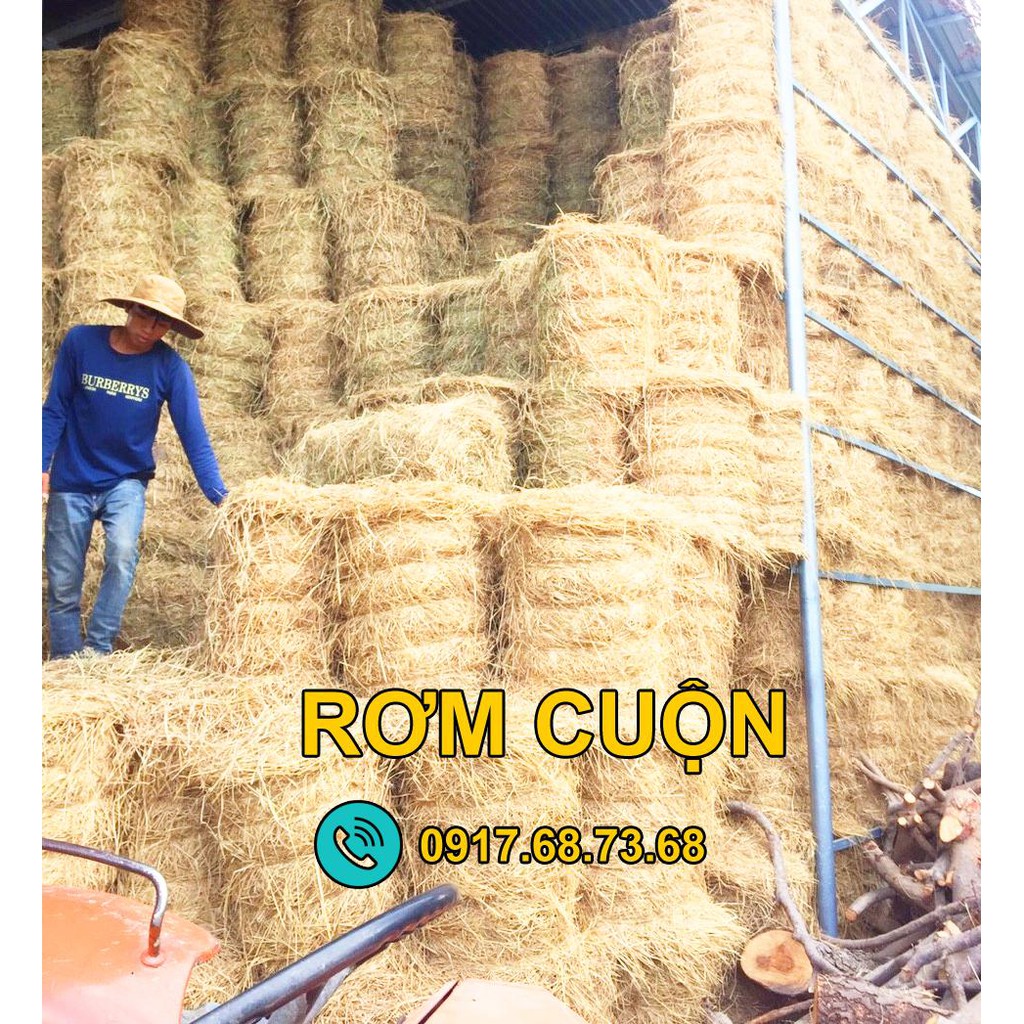 Bán rơm cuộn lẻ trang trí quán cà phê & Nhà hàng - Cuộn nhỏ nặng 10kg