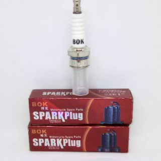 Bugi đánh lửa xe máy động cơ từ 125cc-250cc