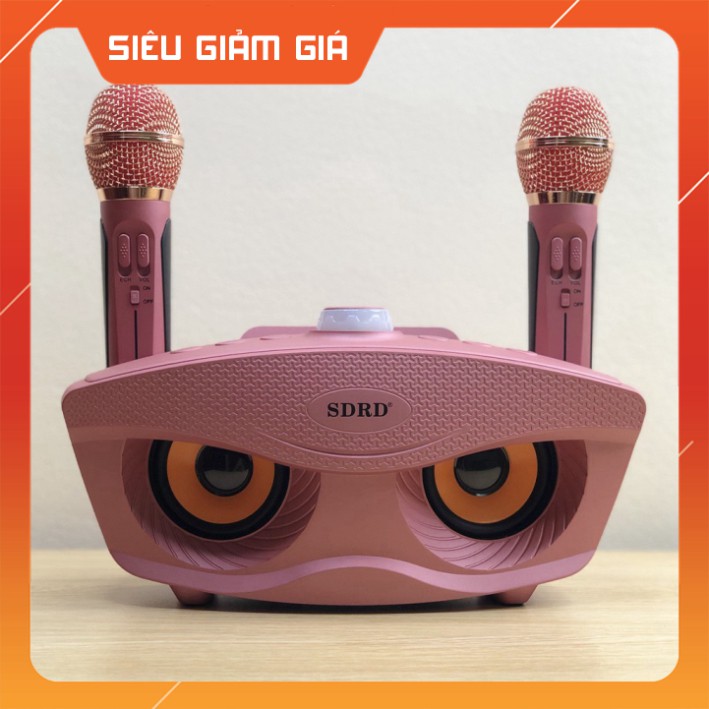 Loa karaoke bluetooth SD-306 tặng kèm 2 mic kết nối không dây hỗ trợ ghi âm thay đổi giọng nói
