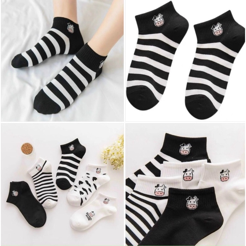 Sét 5 đôi tất gấu nâu be hot hit 2022