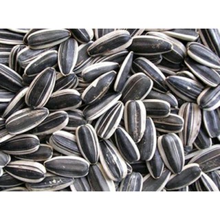 500g - 1kg hạt hướng dương sống