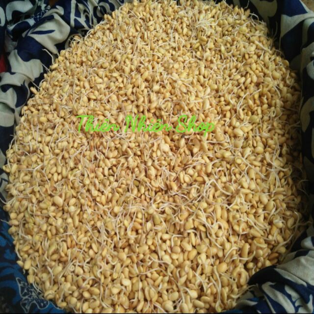Mầm đậu nành 500g