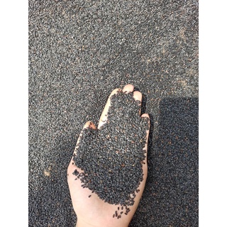 Vừng đen (huyện Con Cuông)