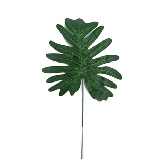 Combo 10 cành lá rùa - Trầu bà lá xẻ Nam Mỹ Monstera