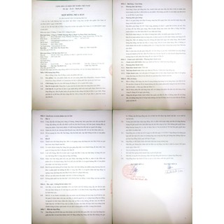 Bộ 2 Núm ty Comotomo trên 6 tháng
