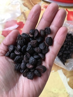 Combo Hạt dổi, Mắc khén, Thảo quả