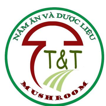 SỨC KHỎE VÀNG 1980