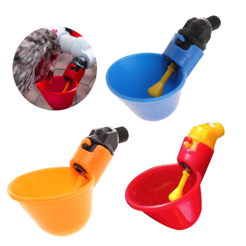 Lucky Set 30 Cốc Nhựa Uống Nước Tự Động Cho Gà