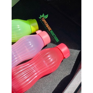Bình nước Eco Bottle Freezerable 880ml