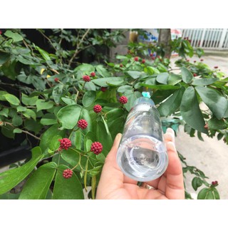 Chai xịt bóng tóc siêu mượt Lavox 80 ml