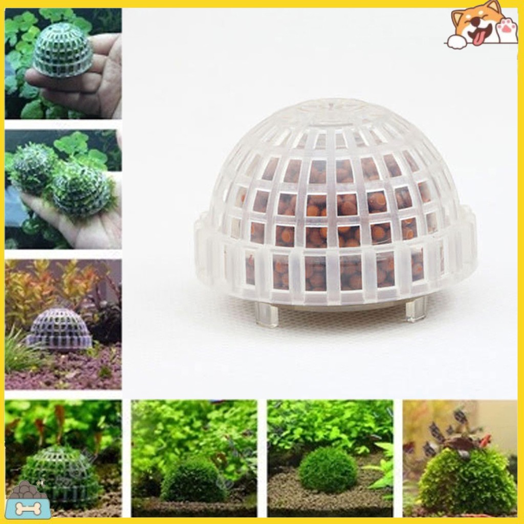 Quả bóng rêu trang trí bể cá tiện lợi