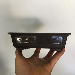 Chậu bonsai chữ nhật Mini