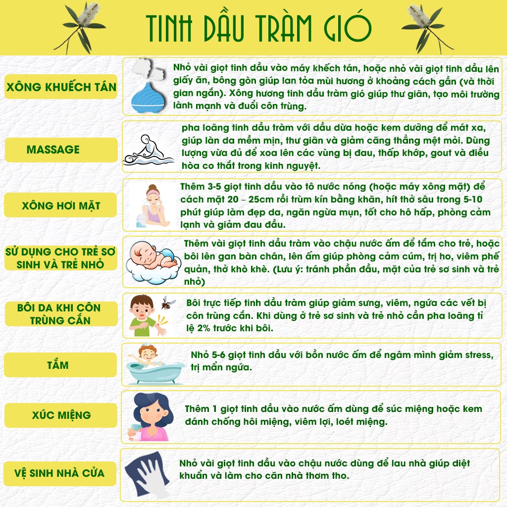 Tinh dầu Tràm gió nguyên chất - Kháng khuẩn, chống cảm cúm.