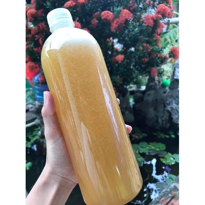 Chai nhựa 1000ml dáng tròn loại siêu dày có kèm nắp trắng chuyên đựng tinh dầu mật ong sữa chua nước ép