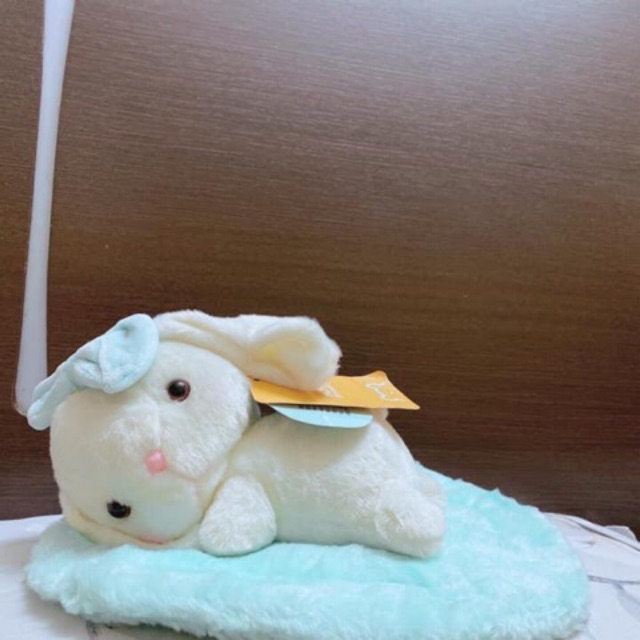 Chó nằm trên thảm Korea