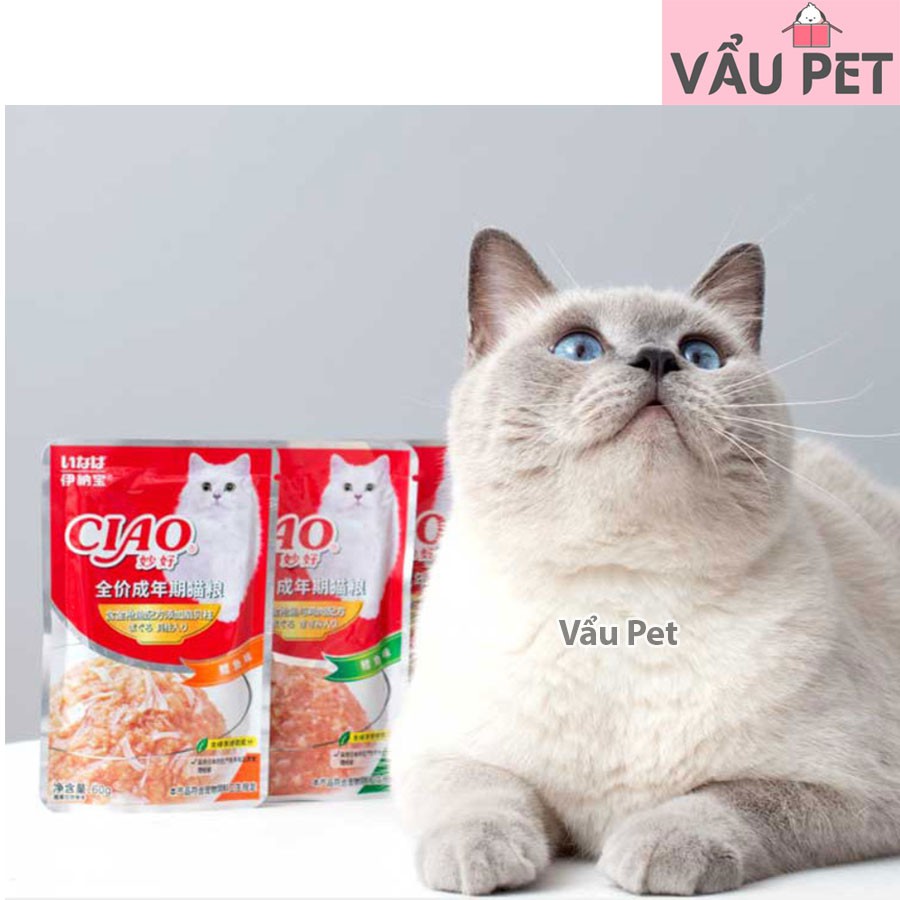 Pate mèo Ciao gói 60g - Thức ăn dạng pate cho mèo