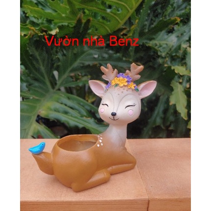 Chậu nai vàng dễ thương trồng cây siêu cute