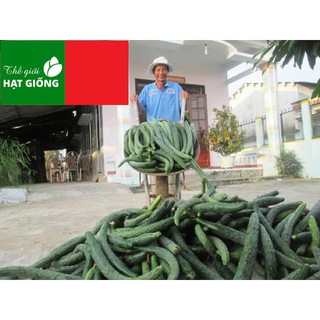 🍀HẠT GIỐNG DƯA CHUỘT KIẾM🍀 DƯA LEO NHẬT NẢY MẦM TRÊN 90%