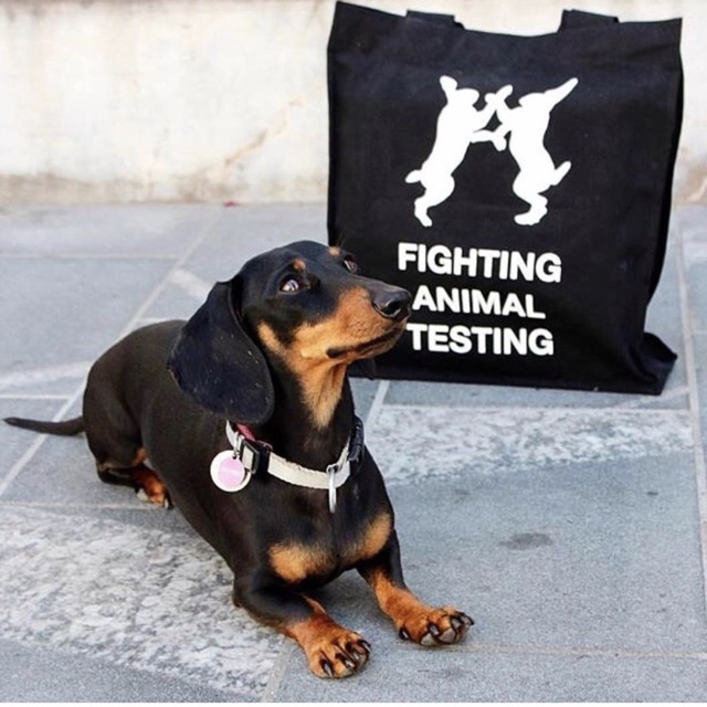 Túi Fighting Animal Testing bag - LUSH