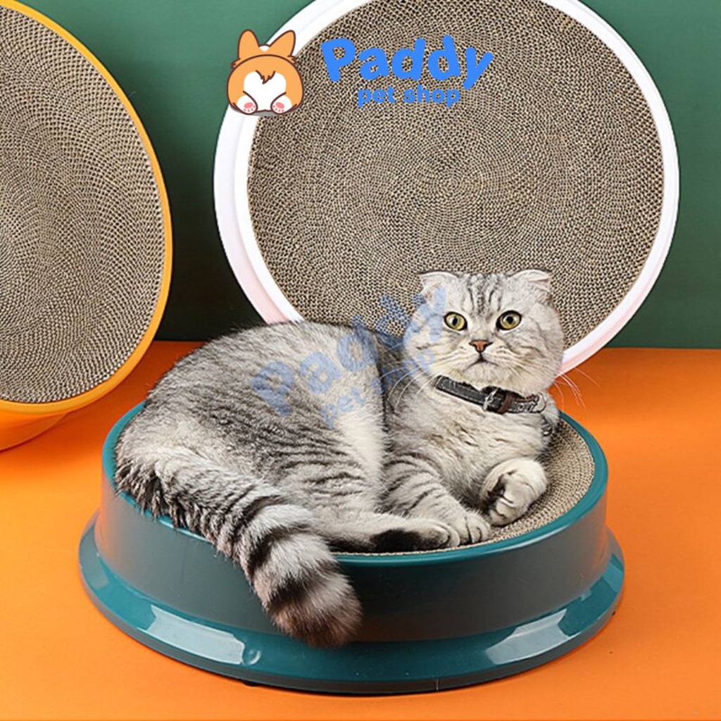 Bàn Cào Móng Giấy Ổ Nằm Tròn Cho Mèo