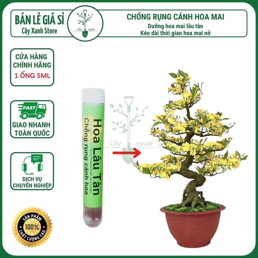 Chế Phẩm CHỐNG RỤNG CÁNH Hoa Mai, Dưỡng Hoa Mai Lâu Tàn, Kéo Dài Thời Gian Hoa Mai Nở 5Ml