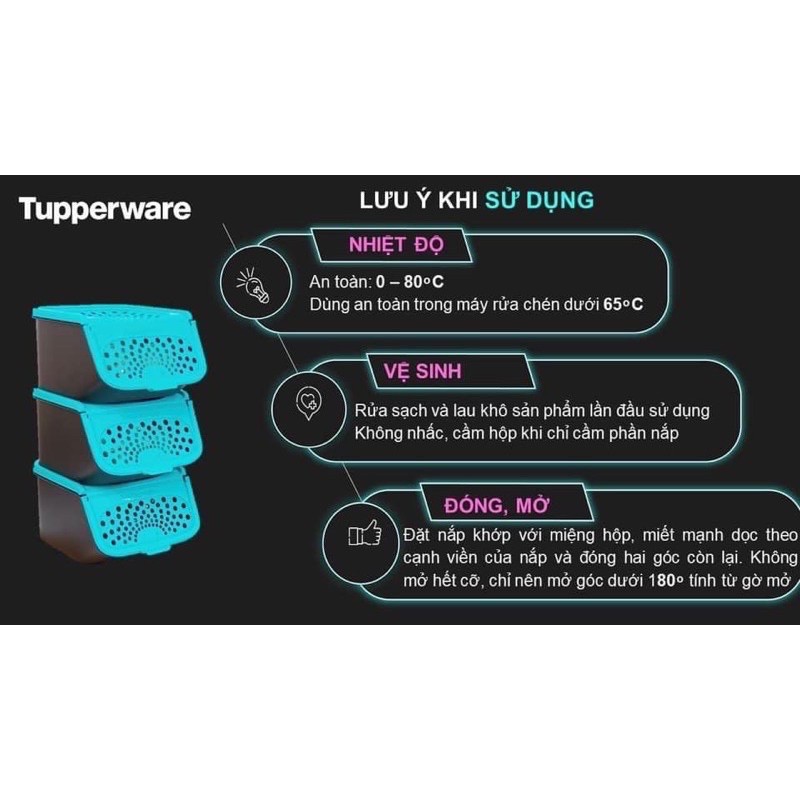 Hộp đựng hành tỏi garlic n all keeper black 2.3L tupperware | BigBuy360 - bigbuy360.vn