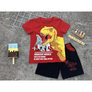 Bộ BT khủng long bạo chúa 1-8T. Thương hiệu Litibaby, chất cotton mềm mịn mát cho bé 9-25 kg.