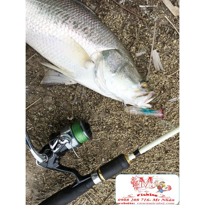POPER Luoi BKK Mồi Lure Cá Chẽm Nhồng HIệu Quả