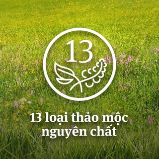 Kẹo Thảo Mộc Ricola 100gr