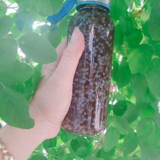 Compo 100gr hoa đậu biếc và 200gr hạt ươi.