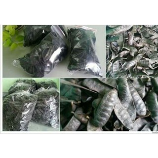 500g trái bồ kết khô